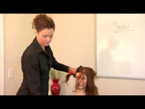 Hair Care & Styling Tips : How to Create Sedu Hairstyles