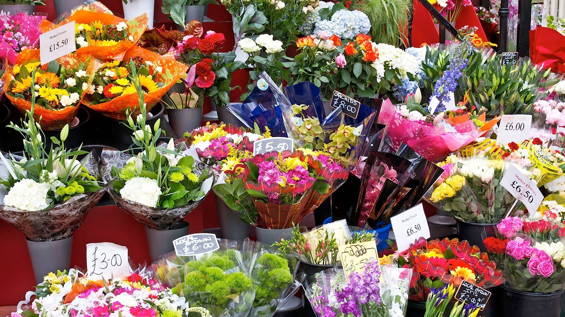 How to Pick Good Flowers from a Bodega | Wedding Flowers