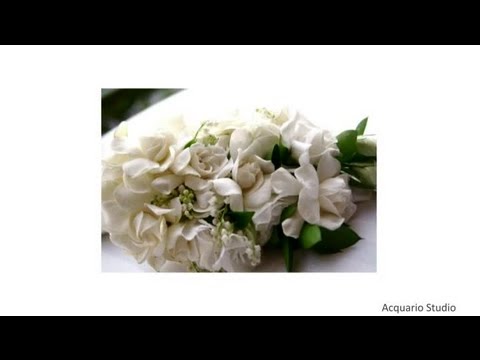 Wedding Flower Etiquette: Boutonniere & Corsage : Wedding Flowers